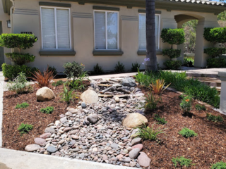 garden with a path of rocks and small plants.